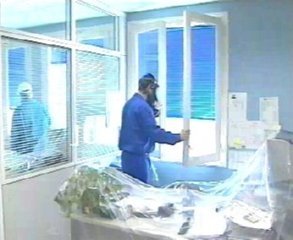 DESINSECTAR OFICINA (21)  BASURA